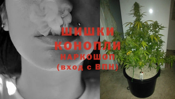 мет Арсеньев