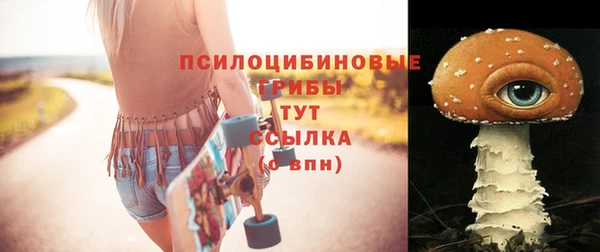 мет Арсеньев