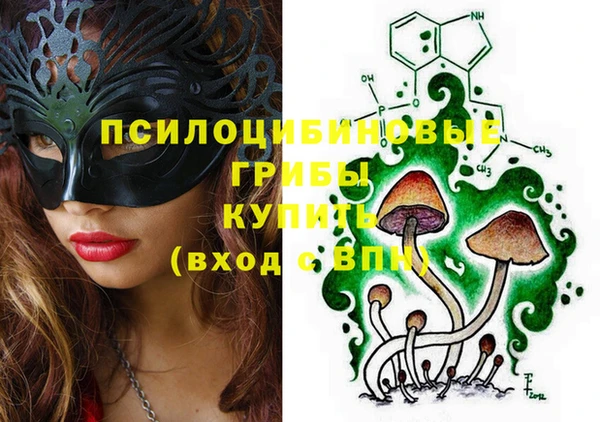 мет Арсеньев